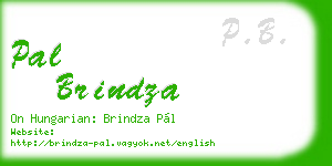 pal brindza business card