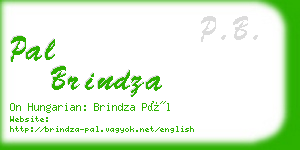 pal brindza business card